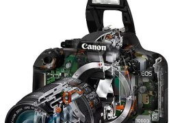 DSLR mới của Canon sẽ nhẹ như máy mirrorless