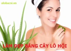 Làm đẹp bằng cây lô hội