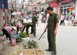 Nắm chắc địa bàn, tích cực kiểm tra