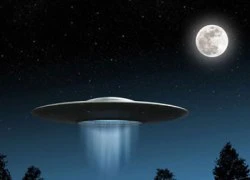 Người dân Canada thấy UFO hàng nghìn lần/năm