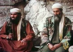 Người phát ngôn của Osama Bin Laden bị bắt