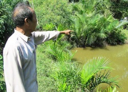 'Quỷ dữ' lộ diện từ quả trứng kho tàu