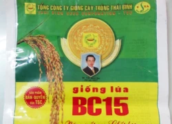 Sản xuất bao bì giả do thiếu hiểu biết