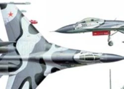 TQ có đủ &#8220;tài&#8221; sao chép máy bay Su-35?