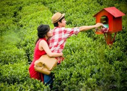 Valentine lặng lẽ