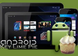 Android 4.3 sẽ thay thế Android 5.0 tại Google I/O 2013