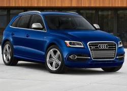 Audi SQ5: &#8216;Quái vật&#8217; núp bóng thư sinh