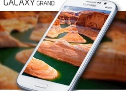 Đấu giá điện thoại Samsung Galaxy Grand Duos I9082.