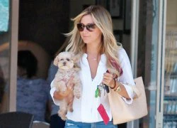 Diện đồ sành điệu như Ashley Tisdale