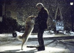 &#8220;Hachiko a dog&#8217;s story&#8221;: câu chuyện cảm động về tình bạn