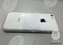 Hình ảnh iPhone giá rẻ dùng vỏ nhựa xuất hiện