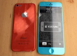 iPhone 5S có hai kích cỡ màn hình