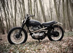 Kawasaki W650 Scrambler - 'quái thú' rừng hoang