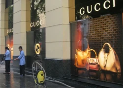 Lô hàng hiệu Gucci - Milano bị "bóc mẽ" có trị giá gần 100 tỷ