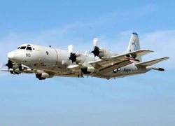 Lộ thêm thông tin Việt Nam có thể mua P-3 Orion