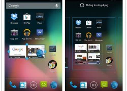 Nâng cấp android 4.1 miễn phí tại Nmobile.