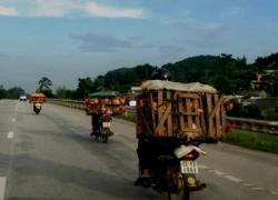 Nhức nhối những chiêu trò "phù phép" gia cầm lậu