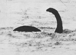 Những bí mật khó tin về quái vật Loch Ness