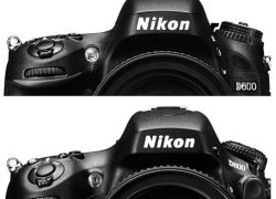 Nikon sửa nhiều lỗi cho D600 và D800