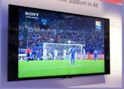 Sony công bố giá bộ đôi 4K Ultra HD LED TV 55 inch và 65 inch