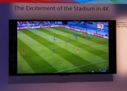 Sony sắp bán TV 4K giá rẻ