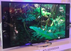 Sony trình làng TV 4K 65 và 55 inch đầu tiên ở VN