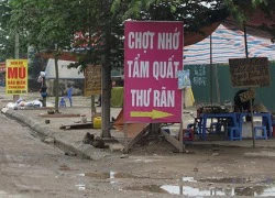 Tẩm quất "tới bến" dọc quốc lộ 1A