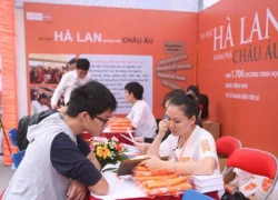 Tư vấn online du học Hà Lan