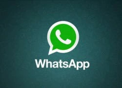 WhatsApp có hơn 200 triệu người dùng thường xuyên hàng tháng