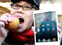 Apple bán được 12,5 triệu iPad Mini trong quý I/2013