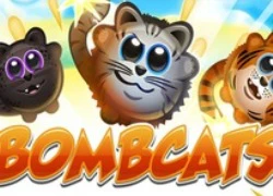 Bombcats- Gamek Casual trên mobile kén người chơi