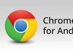 Chrome cho Android cập nhật phiên bản mới, hỗ trợ xem toàn màn hình