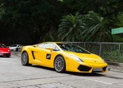 Dàn siêu xe Lamborghini tụ họp mừng sinh nhật