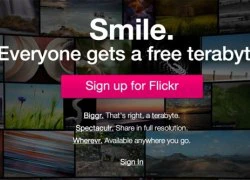 Flickr đổi giao diện, cung cấp tới 1 terabyte miễn phí