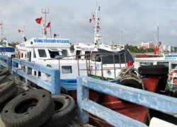 Hiểm họa an toàn hàng hải sau cổ phần hóa doanh nghiệp hoa tiêu