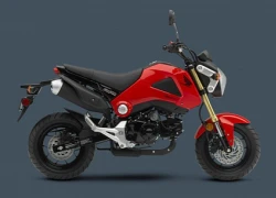 Honda MSX 125 đến Mỹ với tên gọi Grom 2014