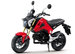 Honda MSX125 biến thành Ducati Monster