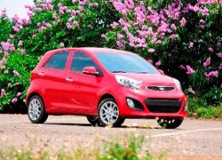 'Làn gió mới' Kia Picanto