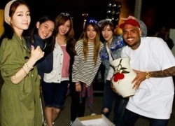 Lộ ảnh T-ara N4 gặp gỡ Chris Brown tại Mỹ