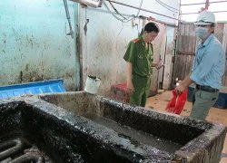 Lòng, tai heo: Nhìn là khiếp!