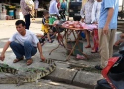 Mang cá sấu sống bày bán ngay cổng chợ