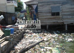 Vô tư xả thải: vịnh Cam Ranh đang thành... "biển thối"