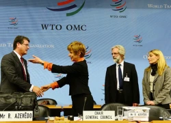 Ngồi "ghế nóng" WTO