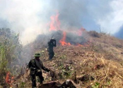 Nổ mìn, 50 ha rừng keo chìm trong biển lửa