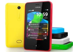 Nokia ra điện thoại cảm ứng Asha 501 giá 99 USD