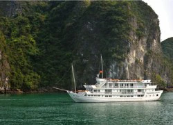 Paradise Cruises HL vinh dự nhận giải thưởng "dịch vụ tuyệt vời"