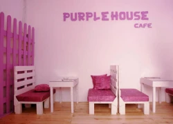 Sắc tím dịu mát mùa hè của Purple House Cafe