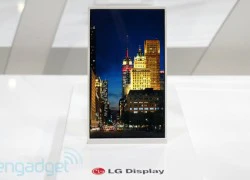 SID 2013: LG trình diễn màn hình Oxide HD viền mỏng 1 mm