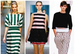 Stripes Galore: Những đường kẻ cá tính