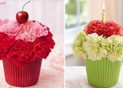 Đáng yêu kiểu cắm hoa hình bánh cupcake